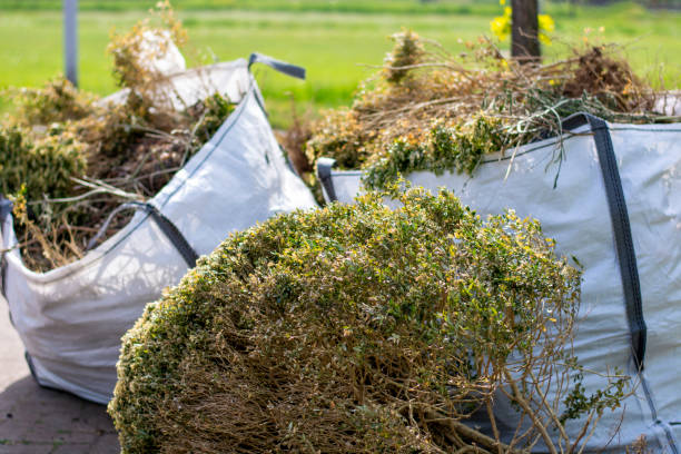 Best Shed Removal  in Wd, AR